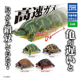 Fast turtle [All 4 type set (Full Complete)]