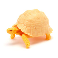 Turtle 06 Gashapon [5.Leopard Tortoise (adult albino)]