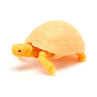 Turtle 06 Gashapon [6.Leopard Tortoise (albino juvenile)]