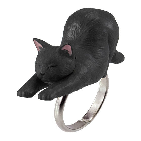 Ringcolle! Hokkoring Nekonabe [1.Black cat]