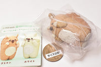 Hazukashigarikko squirrel [1.Brown (capsule toy limited color)]