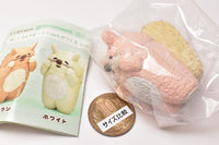 Hazukashigarikko squirrel [5.Pink (capsule toy limited color)]