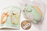 Hazukashigarikko squirrel [6.Secret (capsule toy limited color)]