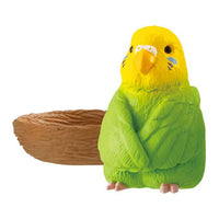 Machiboke bird [4.Parakeet (yellow -green)]