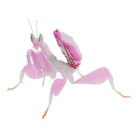 Mantis 03 Gashapon [1.Flower mantis (pink)]