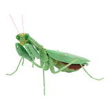 Mantis 03 Gashapon [3.Harabiro Mantis (adult, green)]