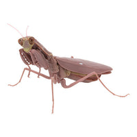 Mantis 03 Gashapon [4.Rare: Harabiro Mantis (adult, brown)]