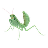 Mantis 03 Gashapon [5.Harabiro Mantis (juvenile, green)]