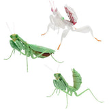 Mantis 03 Gashapon [Assorted 3 type set (2.Flower mantis (white)/3.Harabiro Mantis (adult, green)/5.Harabiro Mantis (juvenile, green))]