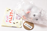 Zukokke hamster mascot figure [6.Djungarian Snow white]