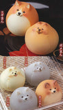 Animal attraction Kaineko Shoji Inumanju Part.2 Omotenashi [All 6 type set(Full Complete)]