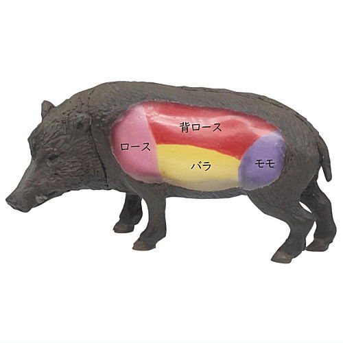 Children's Dictionary Encyclopedia Nakamimarumie figure Gibier hen [2.Boar]