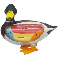 Children's Dictionary Encyclopedia Nakamimarumie figure Gibier hen [3.Mallard]