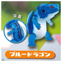 Futoagon [4.Blue Dragon]