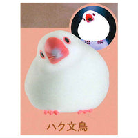 Little bird light [4.White Java sparrow]