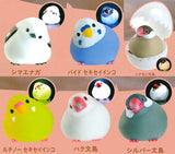 Little bird light [All 6 type set(Full Complete)]