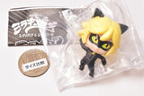 Miraculous Ladybug & Chat Noir [1.Chat Noir]