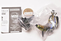 Ikimono Encyclopedia Mini Collection Ancient Fish [5.Rare: Asian Arowana (Indigo Bottom Overback Golden Dragon)]