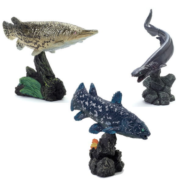 Ikimono Encyclopedia Mini Collection Ancient Fish [Assorted 3 type set (2.Coelacanth/3.Alligator gar/4.Loveka)]