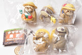 Sloth farmer mascot figure [All 5 type set(Full Complete)]