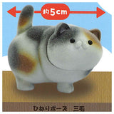 Ushihito's Pocha Pocha Cat-sama Flocky Figure [3.Hineri Pose Mike]