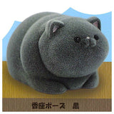 Ushihito's Pocha Pocha Cat-sama Flocky Figure [4.Kouza Pose Black]