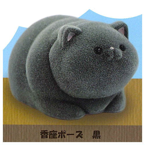 Ushihito's Pocha Pocha Cat-sama Flocky Figure [4.Kouza Pose Black]