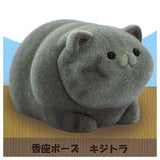 Ushihito's Pocha Pocha Cat-sama Flocky Figure [5.Kouza Pose Kijitora]