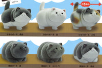 Ushihito's Pocha Pocha Cat-sama Flocky Figure [All 6 type set(Full Complete)]