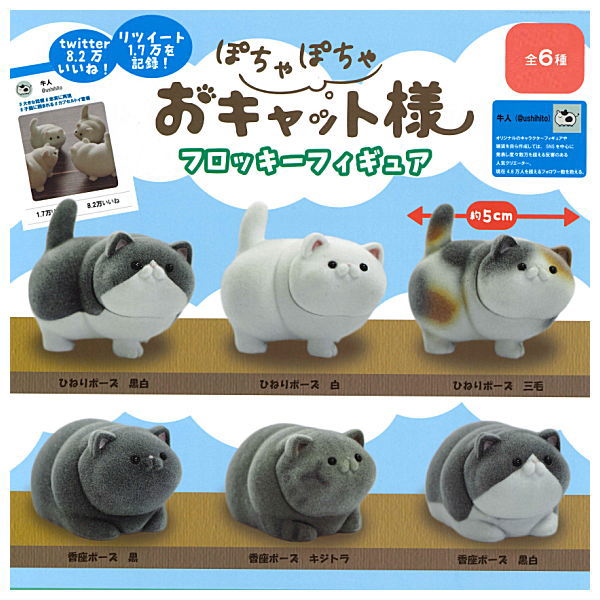 Ushihito's Pocha Pocha Cat-sama Flocky Figure [All 6 type set(Full Complete)]