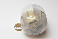 1/64 PLUS SUZUKI HUSTLER [6.Chiffon ivory metallic]