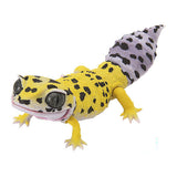 Ikimono Encyclopedia Repti Leopard Gecko [2.high yellow]