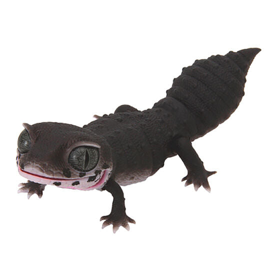 Ikimono Encyclopedia Repti Leopard Gecko [3.black knight]