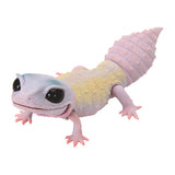 Ikimono Encyclopedia Repti Leopard Gecko [4.blizzard]