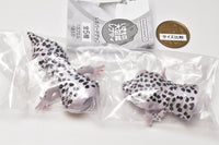 Ikimono Encyclopedia Repti Leopard Gecko [5.Rare: Super Max Snow]