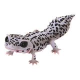 Ikimono Encyclopedia Repti Leopard Gecko [5.Rare: Super Max Snow]