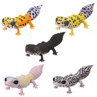 Ikimono Encyclopedia Repti Leopard Gecko [All 5 type set including Rare (Full Complete)]