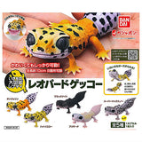 Ikimono Encyclopedia Repti Leopard Gecko [All 5 type set including Rare (Full Complete)]