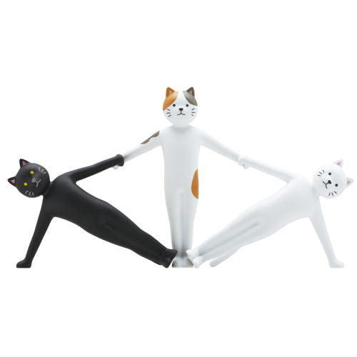 Cat de gymnastics [1.Ogi]