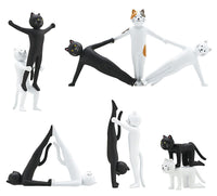 Cat de gymnastics [‘S5ŽíƒZƒbƒg(ƒtƒ‹ƒRƒ“ƒv)]