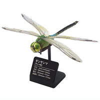 Primary color picture book series Japanese dragonfly [2.Ginyanma]