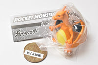 Pokemon Swing Collection Part.5 [5.Charizard]