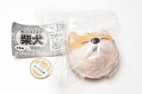 Punyupunyu! Hoppe mochimochi Shibainu mascot [1.Akashibainu (nikkori)]