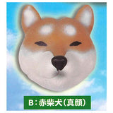 Punyupunyu! Hoppe mochimochi Shibainu mascot [2.Akashibainu (magao)]