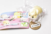 Cable kajikaji hamster puspusu [1.Utsubuse Cream Roborovski]