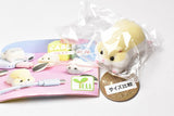 Cable kajikaji hamster puspusu [1.Utsubuse Cream Roborovski]