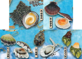 Shellfish with lid Punyupunyu mascot Part.4 [All 5 type set(Full Complete)]