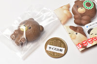 Art Univ. Techni Colour mocha mocha animal cookie figure magnet [1.Kuma (chokon)]