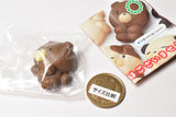 Art Univ. Techni Colour mocha mocha animal cookie figure magnet [6.Kuma (yokomuki)]