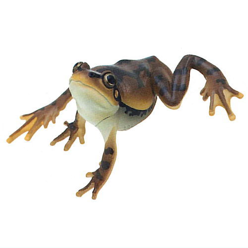 Frog Ball Chain Nature Techni Colour – toysantajp